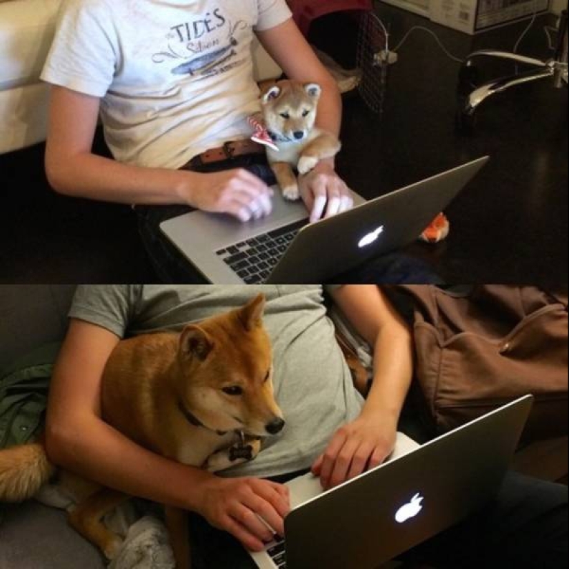 20 proof that some things never change