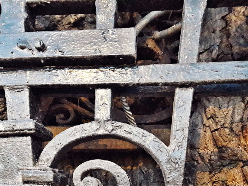 20 proofs that our world is full of unexpected discoveries