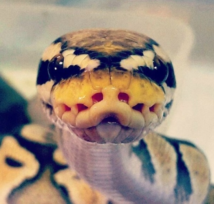 20 proofs that our world is full of unexpected discoveries