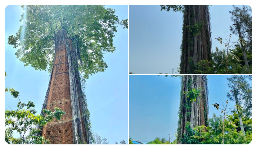 20 proofs that our world is full of unexpected discoveries