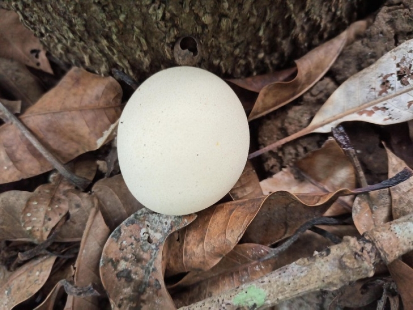 20 proofs that our world is full of unexpected discoveries