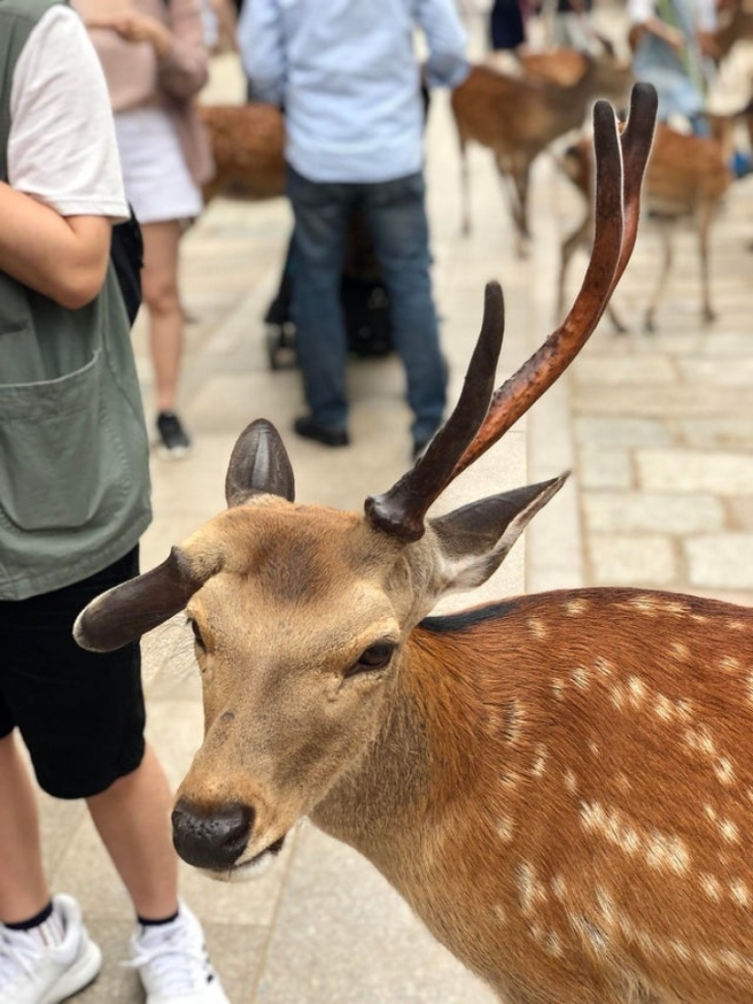 20 proofs that our world is full of unexpected discoveries