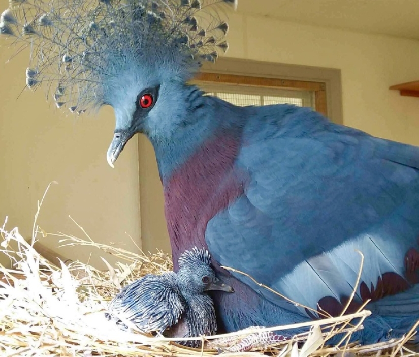 20 proofs that our world is full of unexpected discoveries