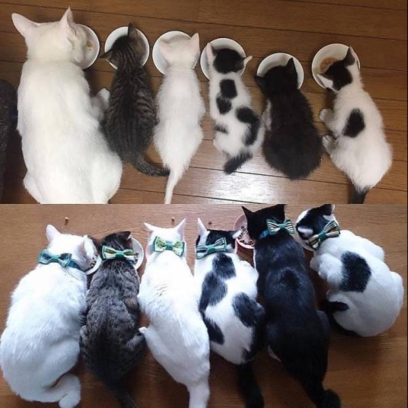 20 prueba de que algunas cosas nunca cambian 20 prueba de que algunas cosas nunca cambian