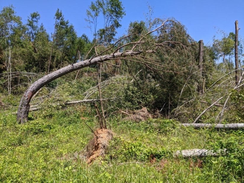20 pruebas de que nuestro mundo está lleno de descubrimientos inesperados 20 pruebas de que nuestro mundo está lleno de descubrimientos inesperados