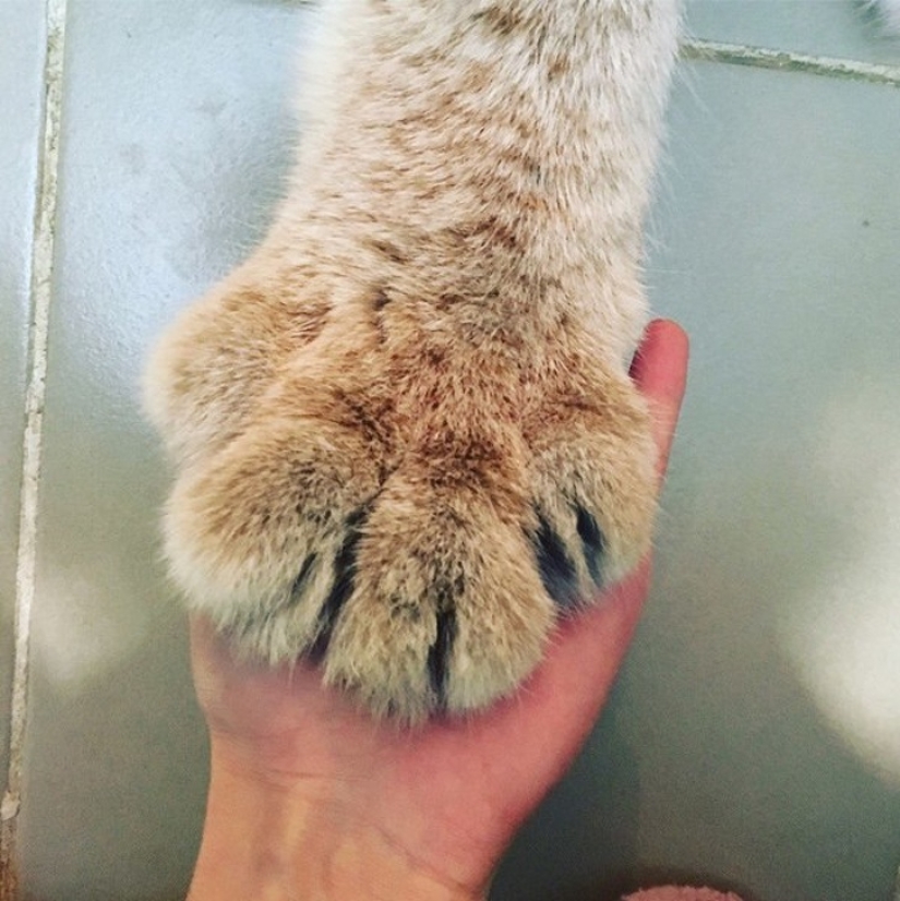 20 pruebas de que nuestro mundo está lleno de descubrimientos inesperados 20 pruebas de que nuestro mundo está lleno de descubrimientos inesperados