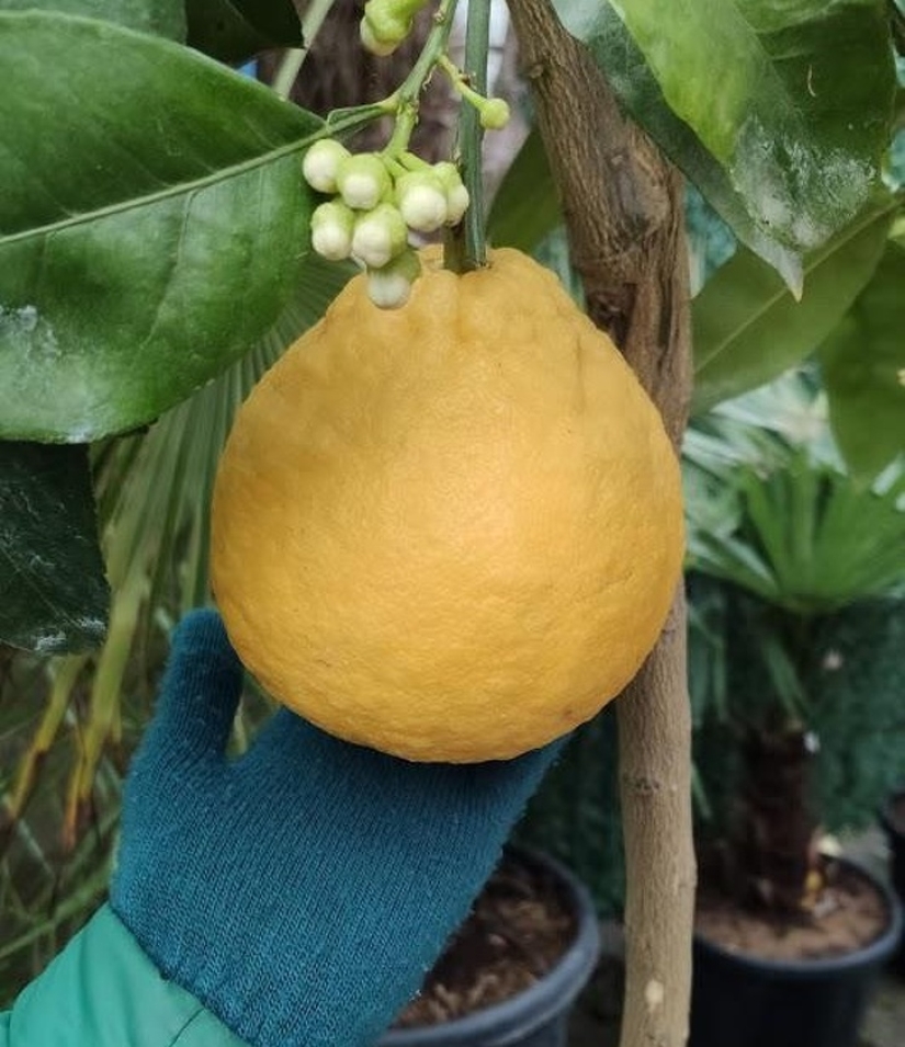 20 pruebas de que nuestro mundo está lleno de descubrimientos inesperados 20 pruebas de que nuestro mundo está lleno de descubrimientos inesperados