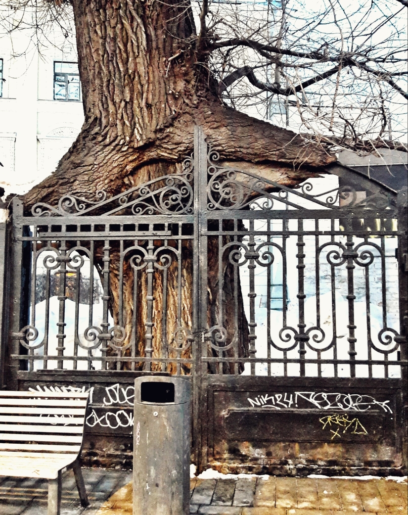 20 pruebas de que nuestro mundo está lleno de descubrimientos inesperados 20 pruebas de que nuestro mundo está lleno de descubrimientos inesperados