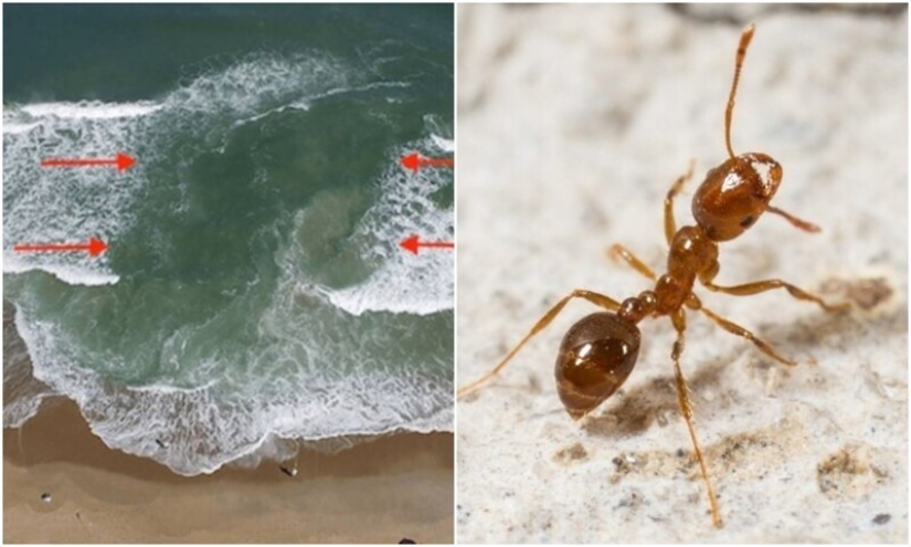 20 señales de la naturaleza que nos advierten del peligro