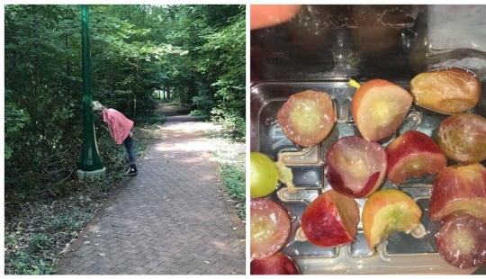 20 situaciones divertidas donde la gente hizo exactamente lo que se les pidió 20 situaciones divertidas donde la gente hizo exactamente lo que se les pidió