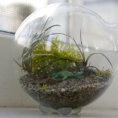 20 small gardens that fit in the palm of your hand