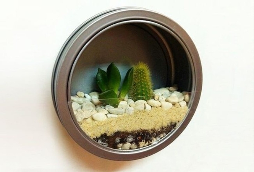 20 small gardens that fit in the palm of your hand