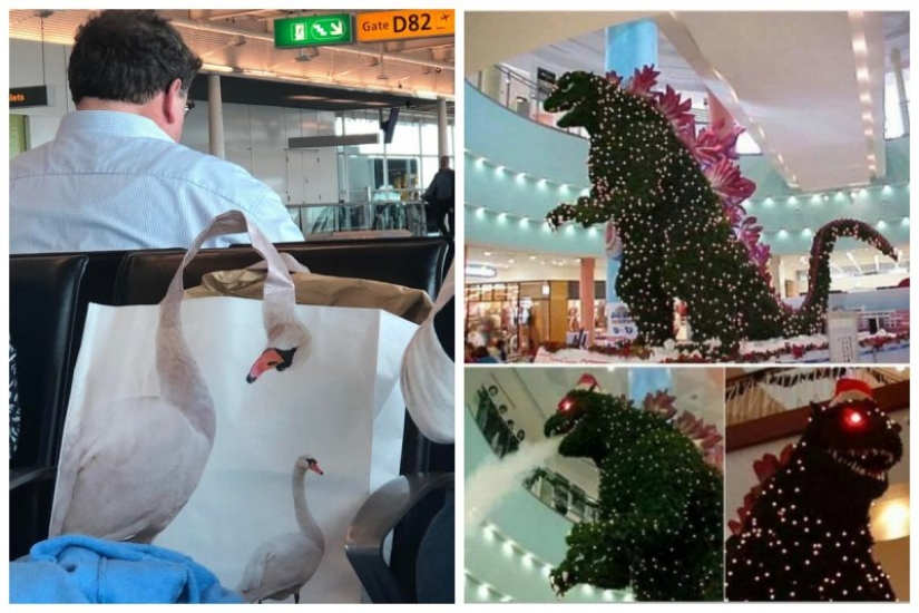 20 strange but at the same time, interesting things that will cause you problems