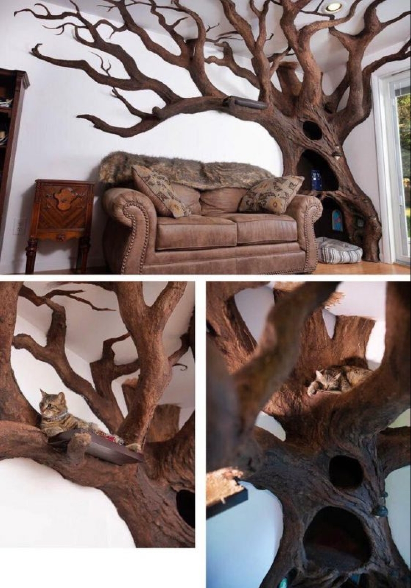 20 strange but at the same time, interesting things that will cause you problems