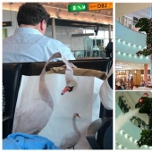 20 strange but at the same time, interesting things that will cause you problems