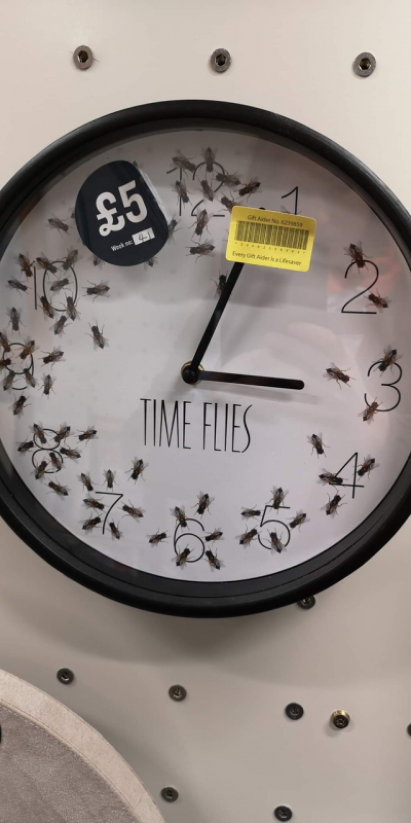 20 strange but at the same time, interesting things that will cause you problems