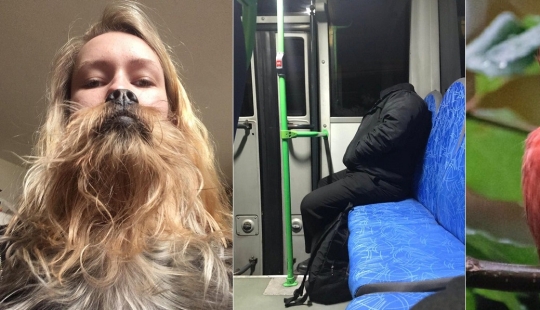 20 strange photos that are easy to break your eyes about