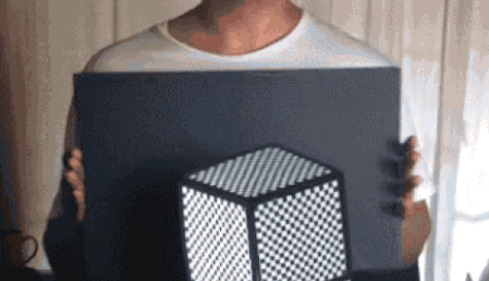 20 stunning optical illusions that blow up the brain