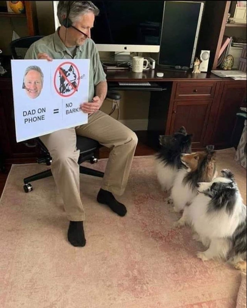 20 super-mimimish photos that will delight you