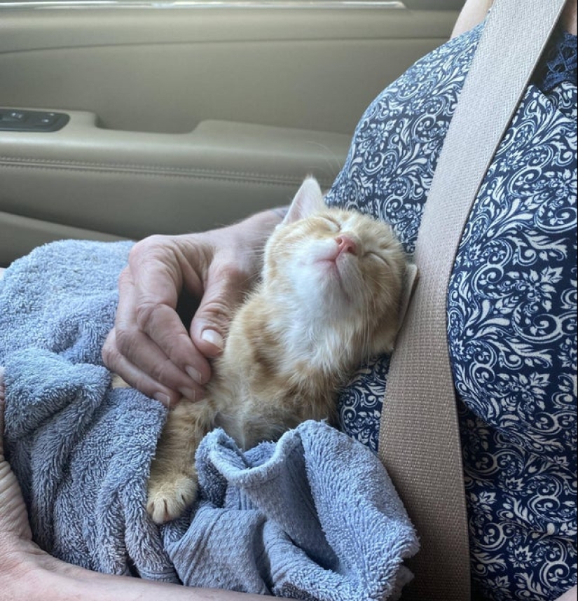 20 super-mimimish photos that will delight you