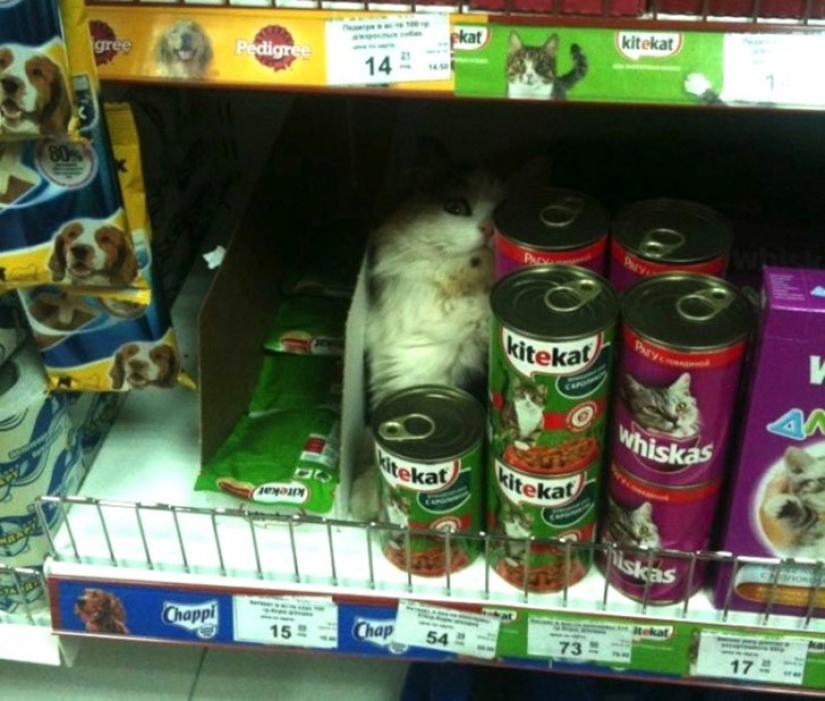 20 surprises that made us supermarkets