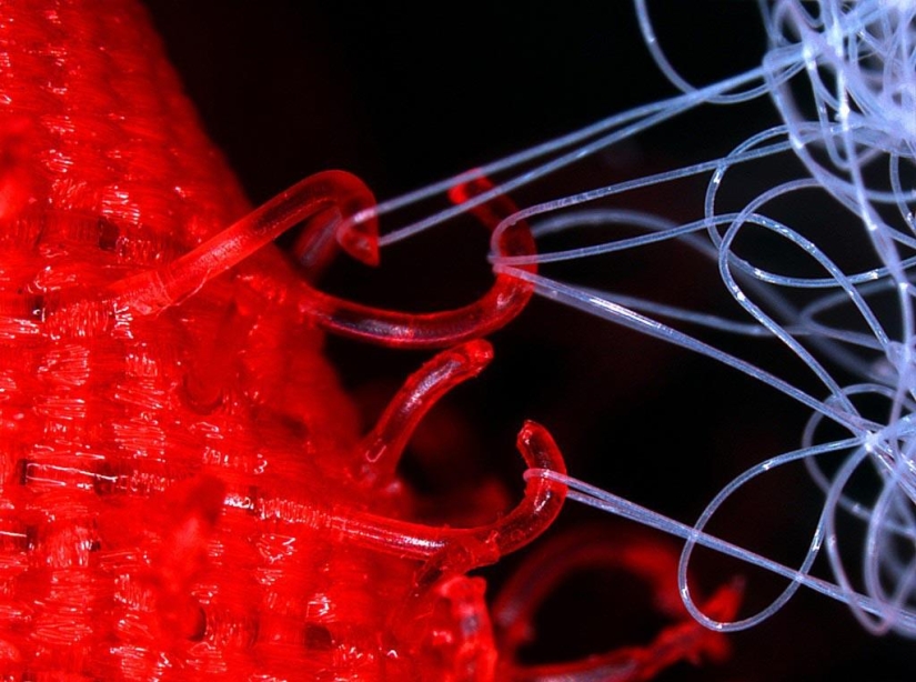 20 the most successful inventions of that was an accident