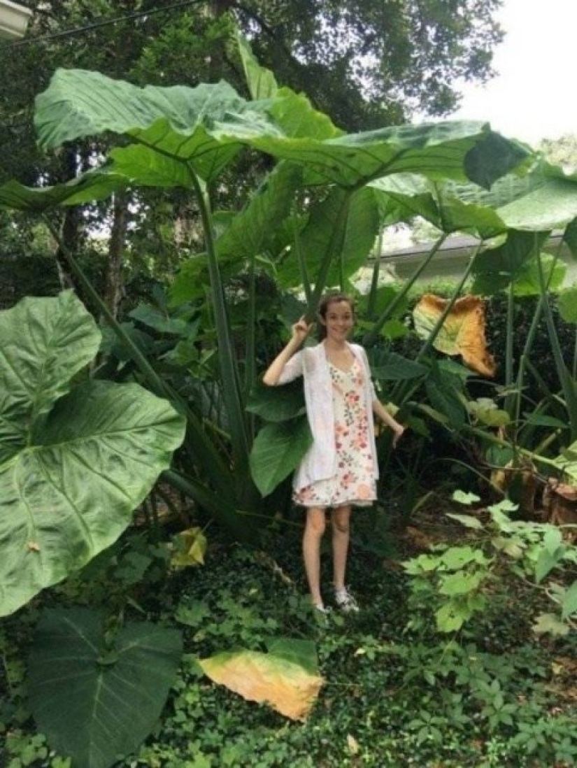 20 things that can be more than we expected