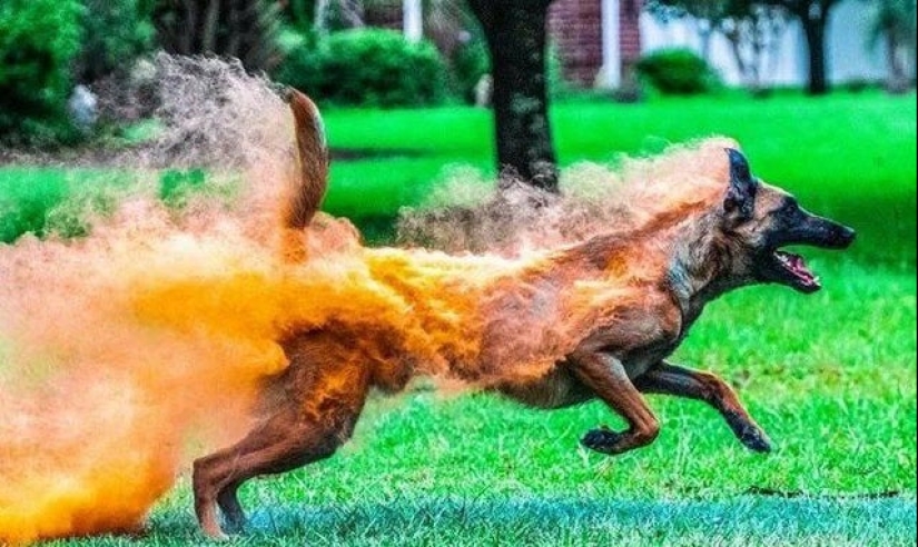 20 things that if they are not captured in the photo, no one would have believed