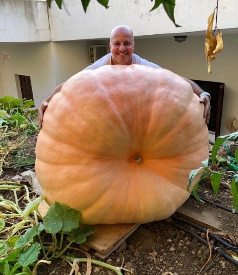 20 things that if they are not captured in the photo, no one would have believed