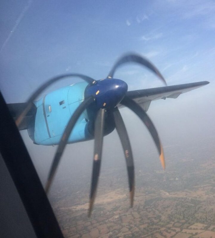 20 things that if they are not captured in the photo, no one would have believed