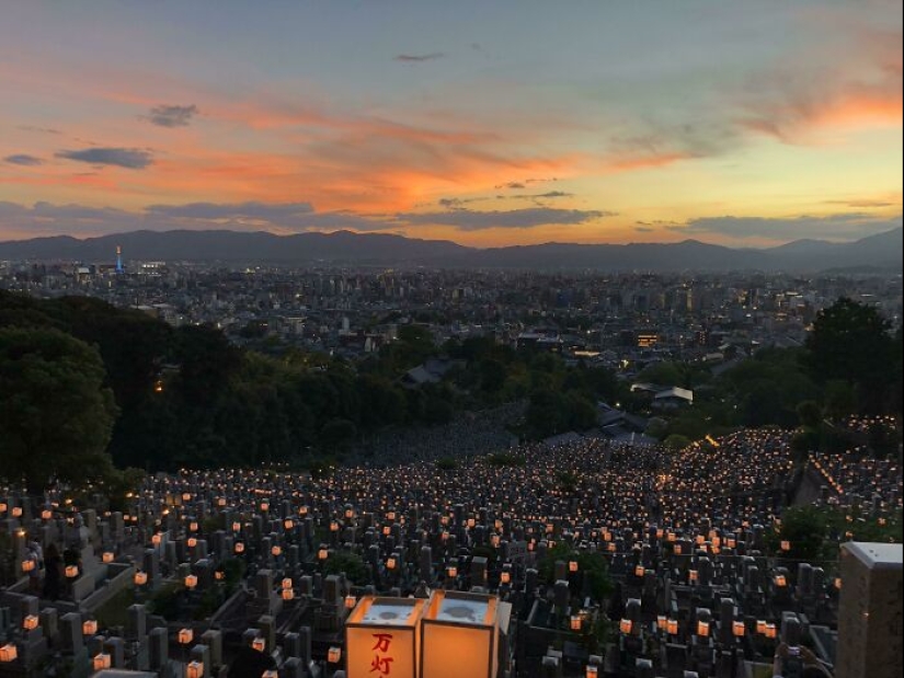 20 Times Travelers Were Shocked, Amused, Or Amazed In Other Countries