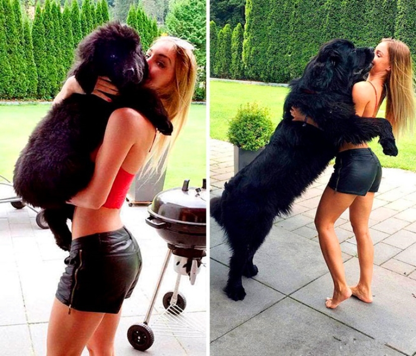 20 touching photos of dogs and their owners at the beginning of a friendship after many years 20 touching photos of dogs and their owners at the beginning of a friendship after many years