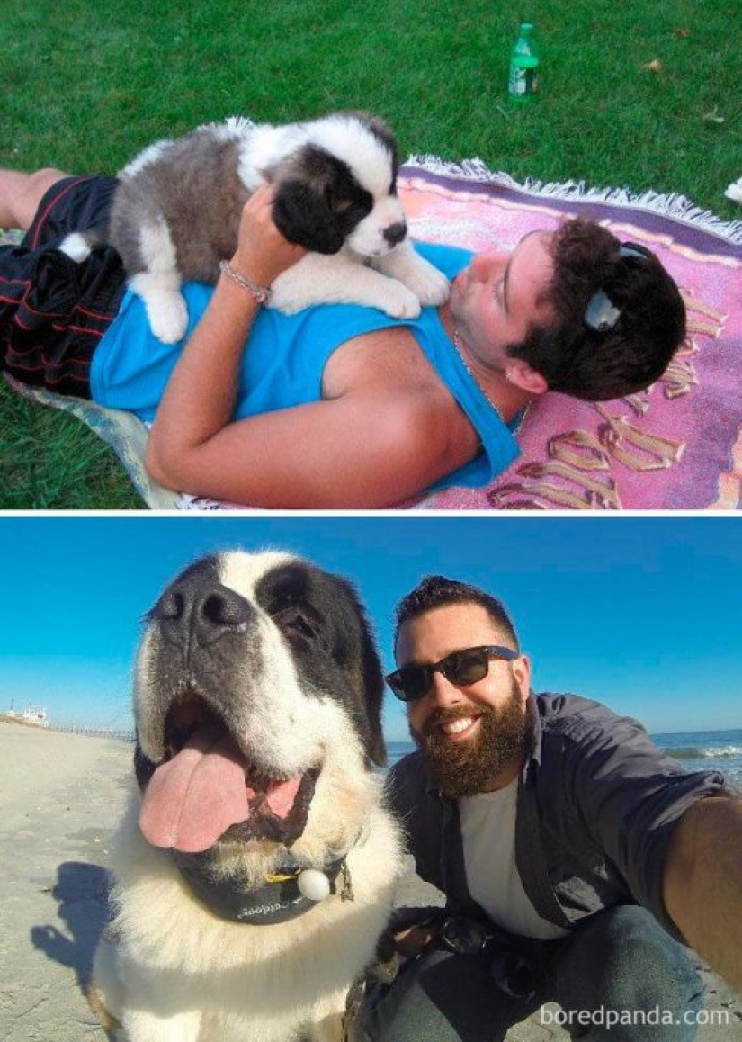 20 touching photos of dogs and their owners at the beginning of a friendship after many years 20 touching photos of dogs and their owners at the beginning of a friendship after many years