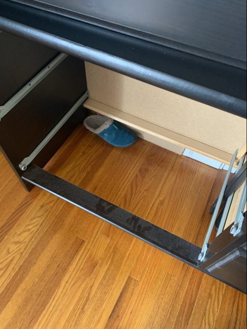 20+ unexpected finds while cleaning house quarantined 20+ unexpected finds while cleaning house quarantined