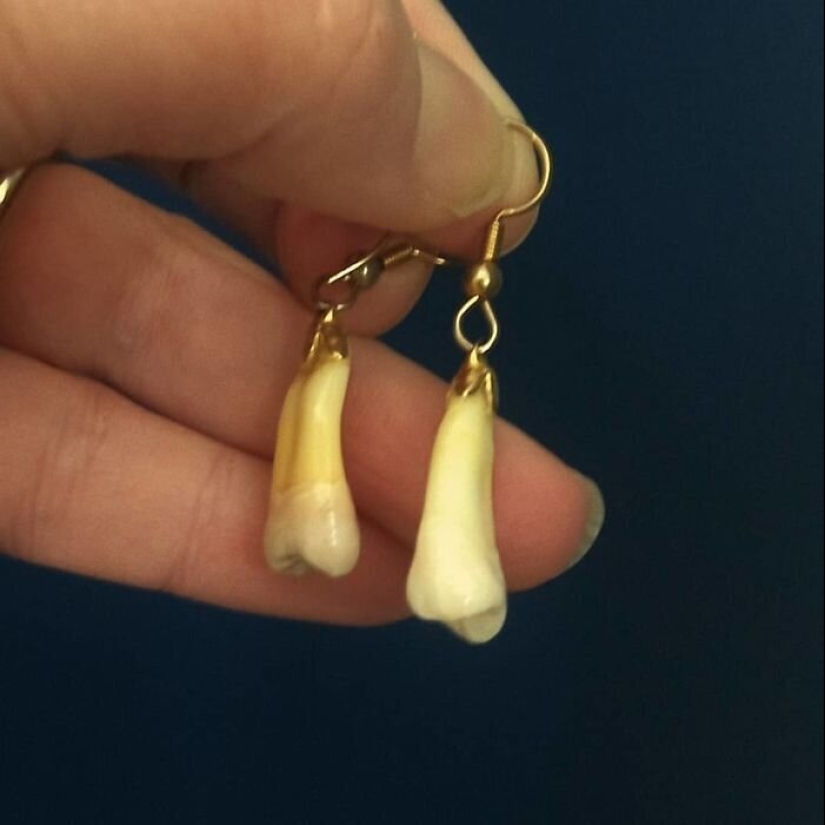 20+ unexpected finds while cleaning house quarantined 20+ unexpected finds while cleaning house quarantined