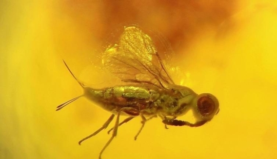 20 unusual photos that can surprise even the most sophisticated