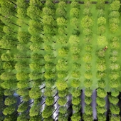 20 vistas vertiginosas desde una altura