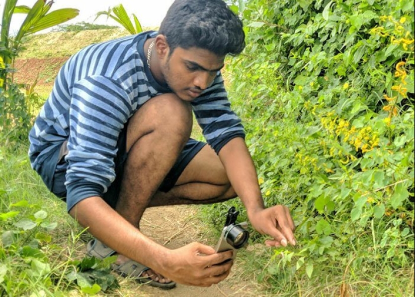 20-year-old Indian makes an incredible photo of the insect on the phone