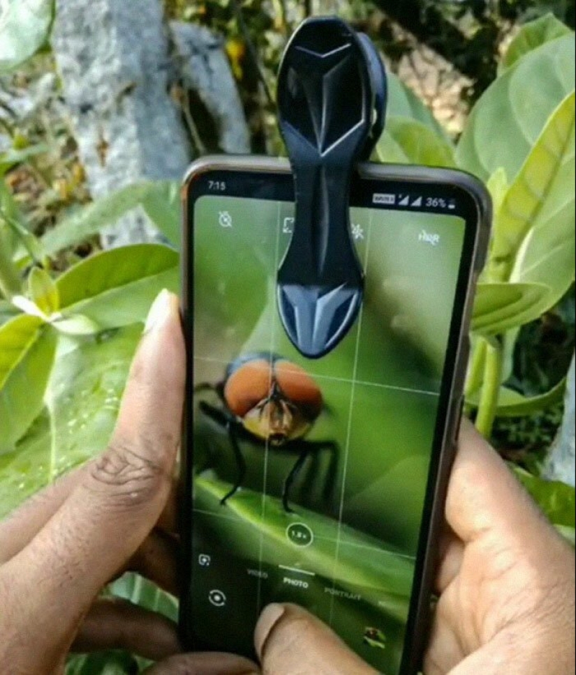 20-year-old Indian makes an incredible photo of the insect on the phone