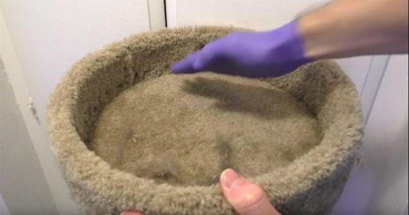 21 trucos de vida para dueños de mascotas