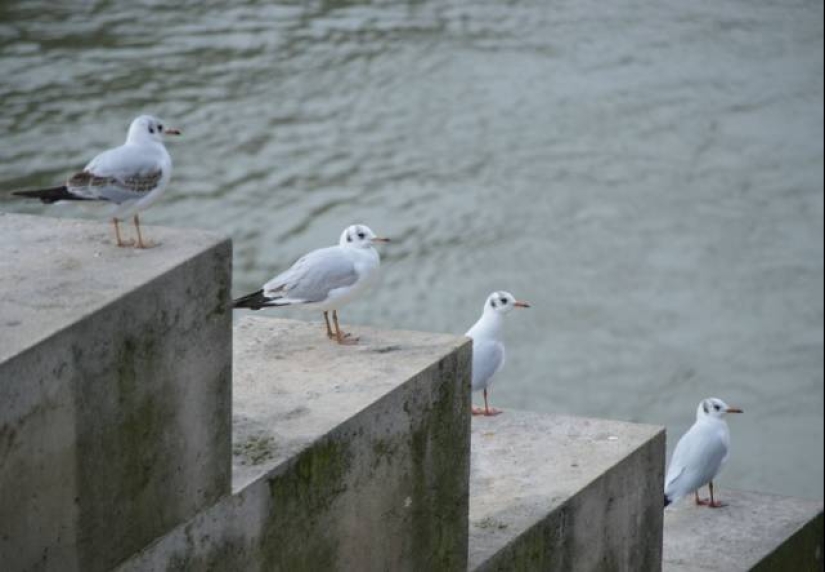 22 amazing coincidences that are hard to believe 22 amazing coincidences that are hard to believe