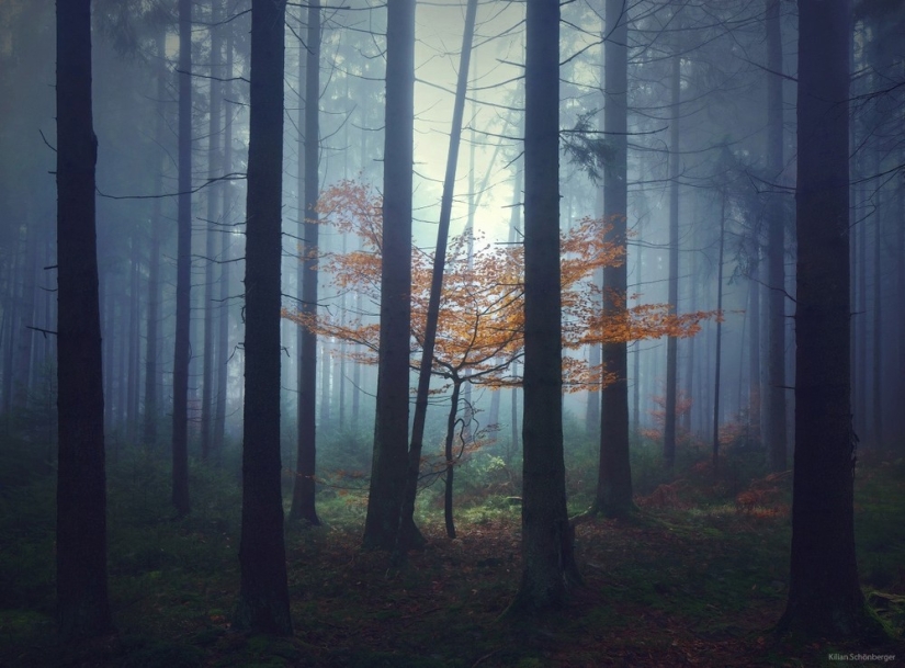 22 amazing landscapes inspired by the fairy tales of the Brothers Grimm