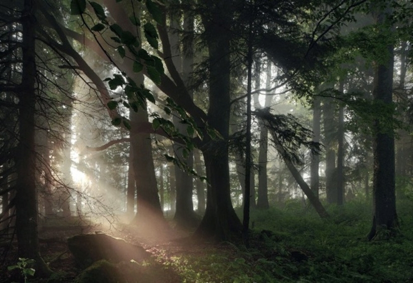 22 amazing landscapes inspired by the fairy tales of the Brothers Grimm