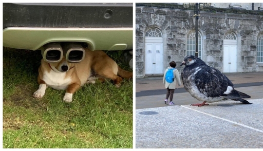 22 amazing photos where the angle decides