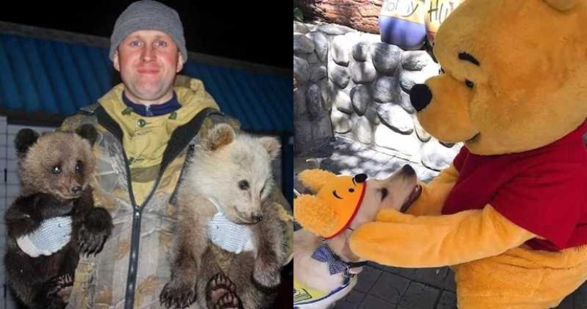 22 amazing stories about kindness