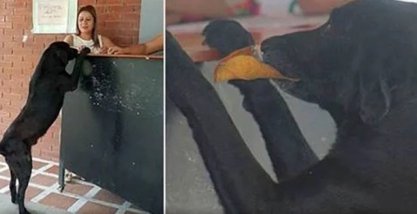 22 amazing stories about kindness