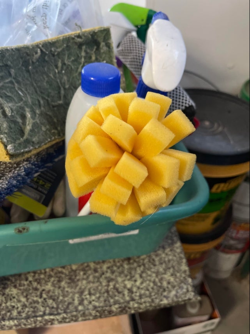 22 artículos no comestibles que de alguna manera causan apetito