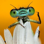 22 Award-Winning Photos From The World Nature Photography Awards 2025