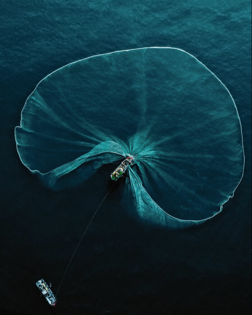 22 Award-Winning Photos From The World Nature Photography Awards 2025