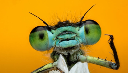 22 Award-Winning Photos From The World Nature Photography Awards 2025